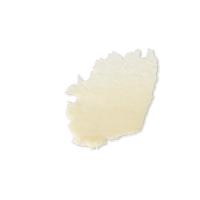 Evolve Lip Treat