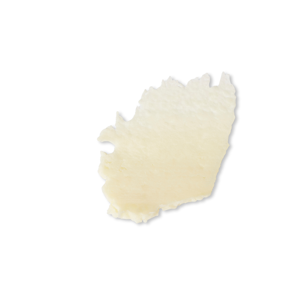Evolve Lip Treat