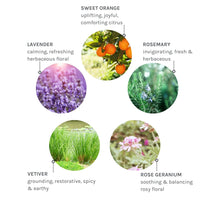 Evolve Pure Tranquility Aromatic Hand & Body Wash