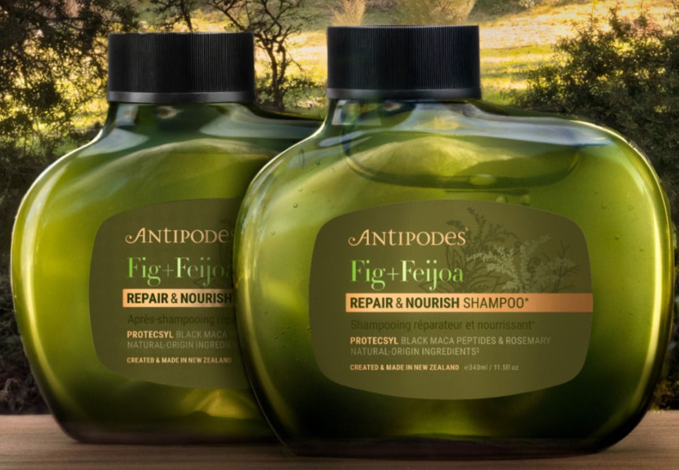 antipodes banner mobile